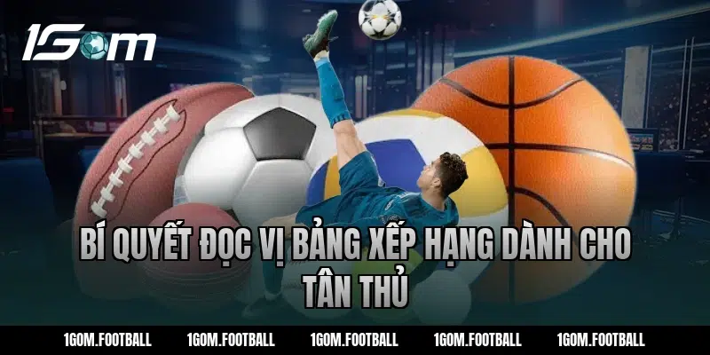 Bí Quyết Đọc Vị Bảng Xếp Hạng Dành Cho Tân Thủ