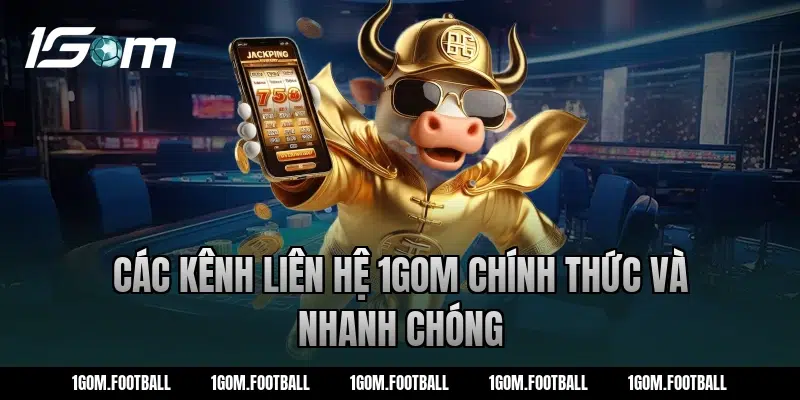 Các kênh liên hệ 1gom chính thức và nhanh chóng